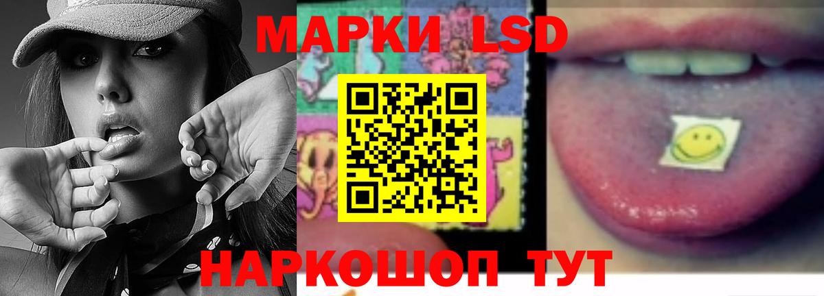 блэк спрут маркетплейс  Вход с VPN  Владикавказ  ЛСД экстази ecstasy  Лсд 25 экстази кислота 