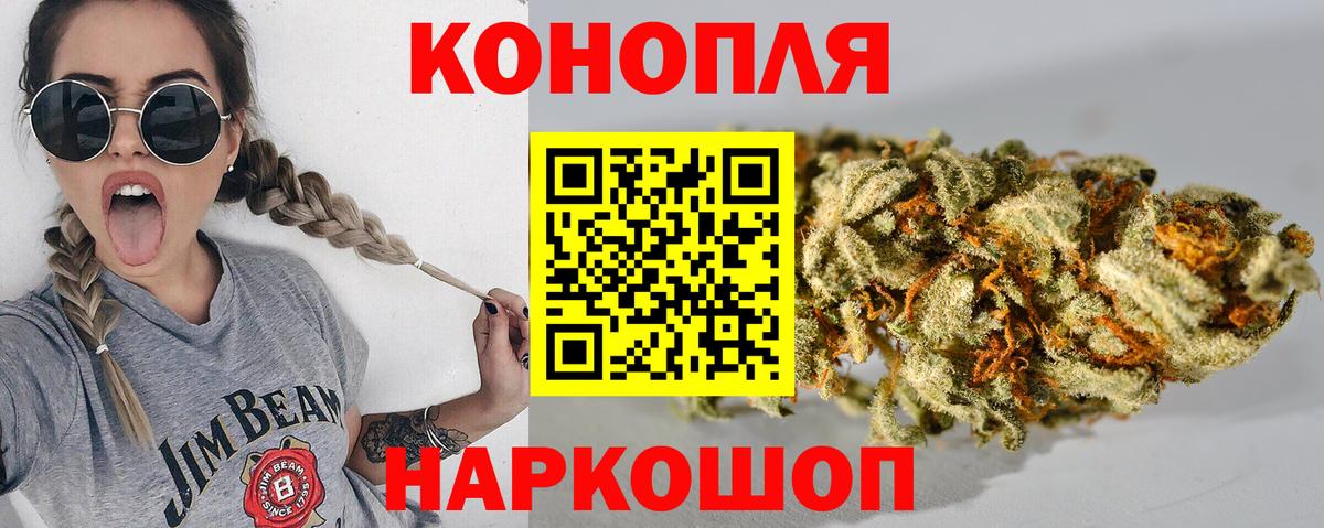 МЕФ Владикавказ